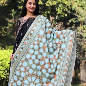 Elegant Digital Print Woolen Shawl-S005